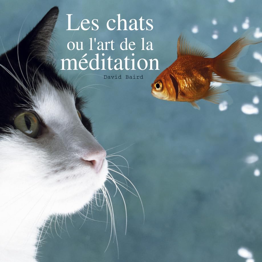 CHATS ET LA MEDITATION (LES) 9782744091063