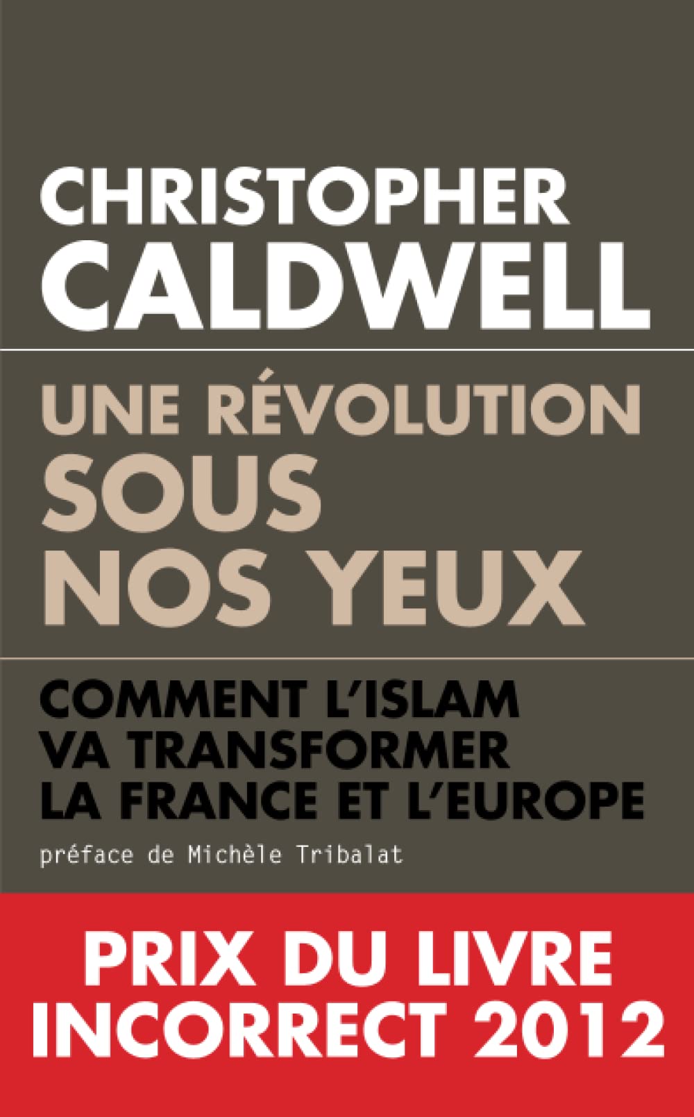 Une révolution sous nos yeux : Comment l’islam va transformer la France et l’Europe 9782810004447