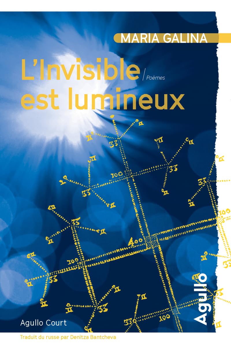 L'invisible est lumineux 9782382461013