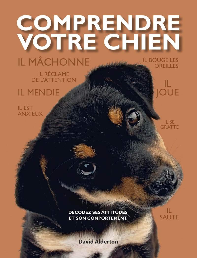 Comprendre votre chien: Décodez ses attitudes et son comportement 9782603017999