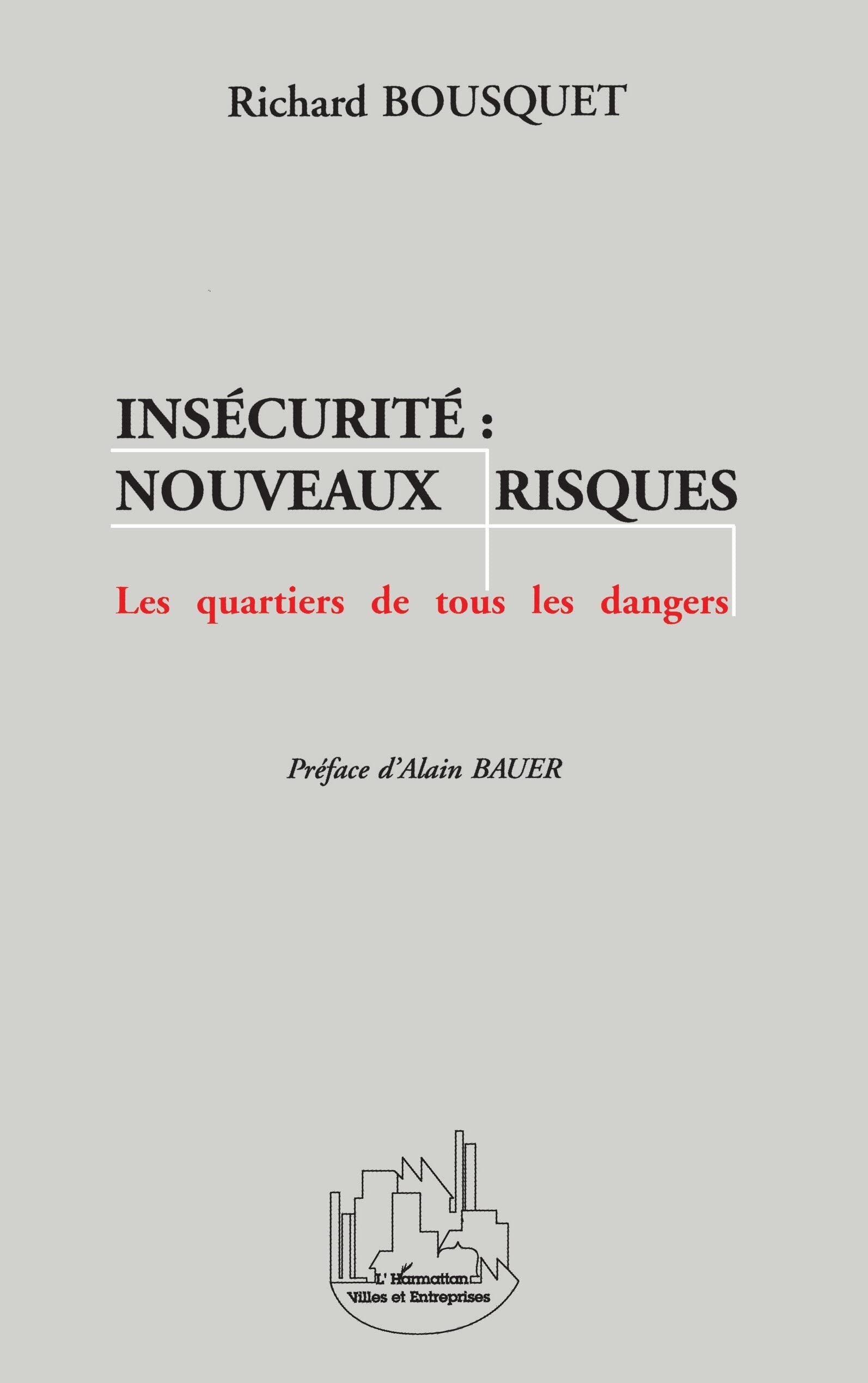 Insécurité : Nouveaux Risques 9782738473899