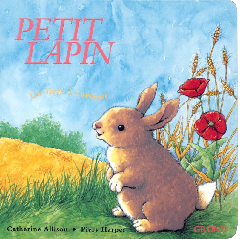 Petit lapin 9782700021998