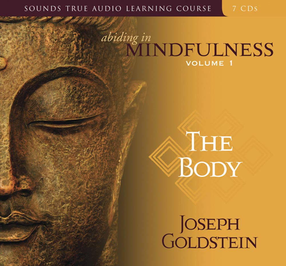 Abiding in Mindfulness 9781591795698