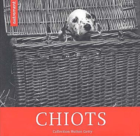 Chiots 9782746704022