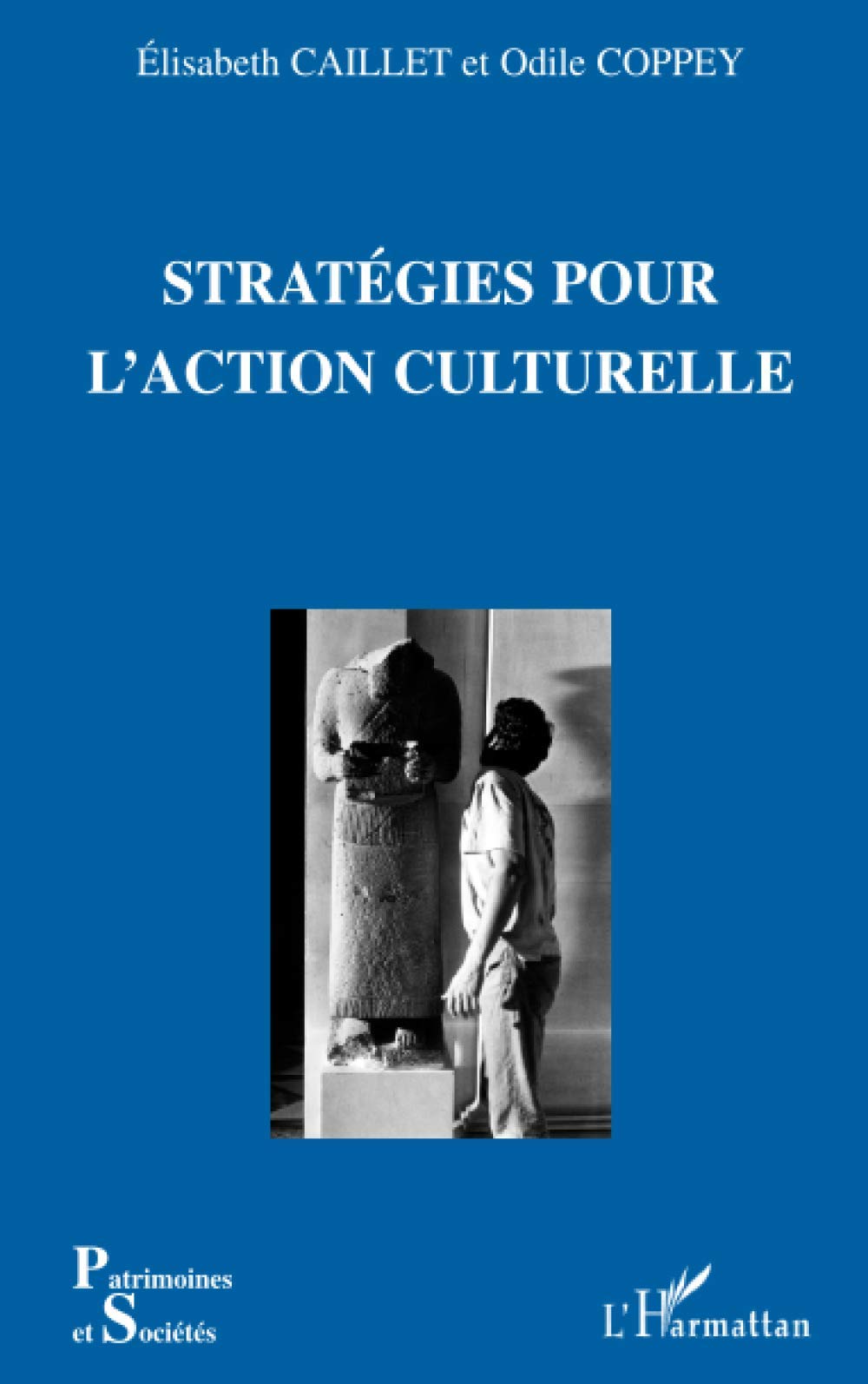 Stratégies pour l'action culturelle 9782747556293