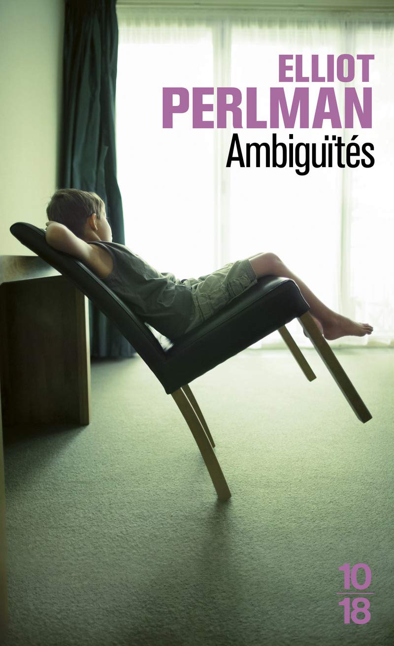 Ambiguïtés 9782264042934