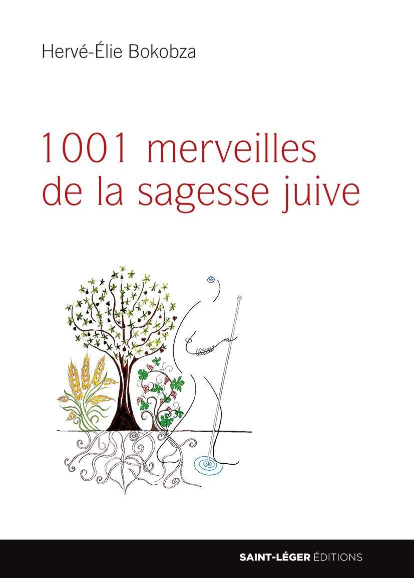 1001 merveilles de la sagesse juive 9782364523104