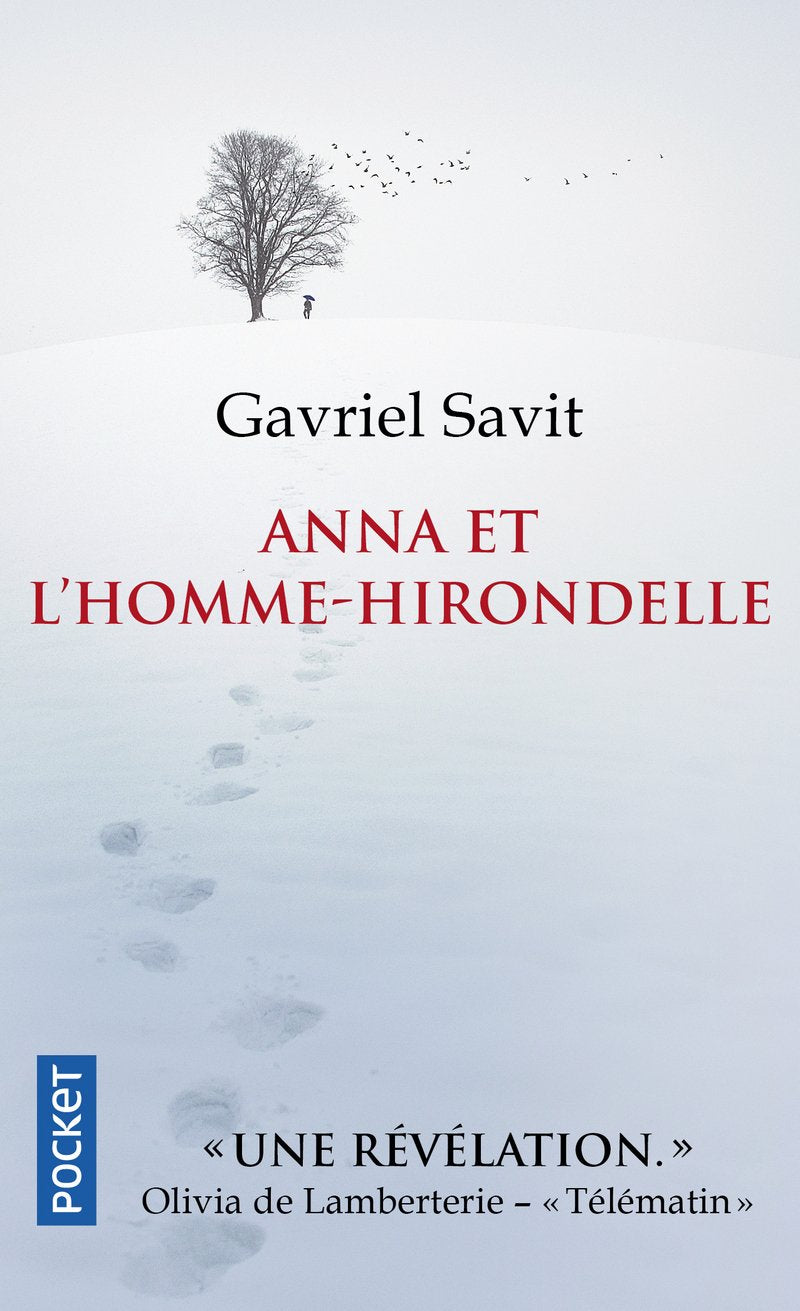 Anna et l'homme-hirondelle 9782266282970