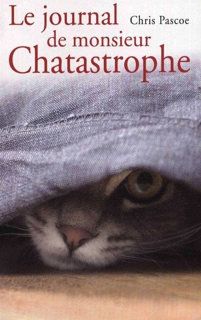 Le journal de monsieur catastrophe 9782298034158