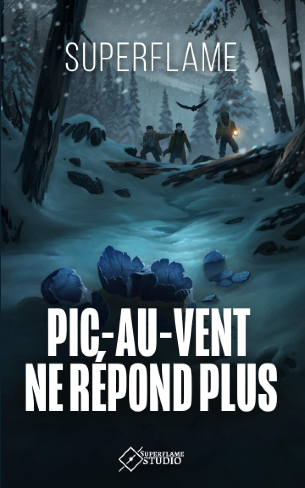 Pic-au-Vent ne Répond Plus 9798580955117