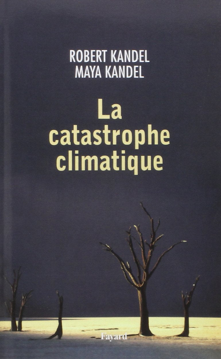 La catastrophe climatique 9782213677910
