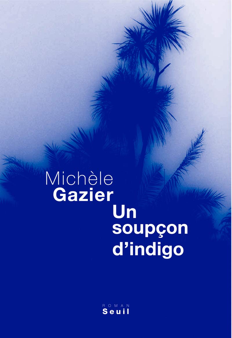 Un soupçon d'indigo 9782020970099