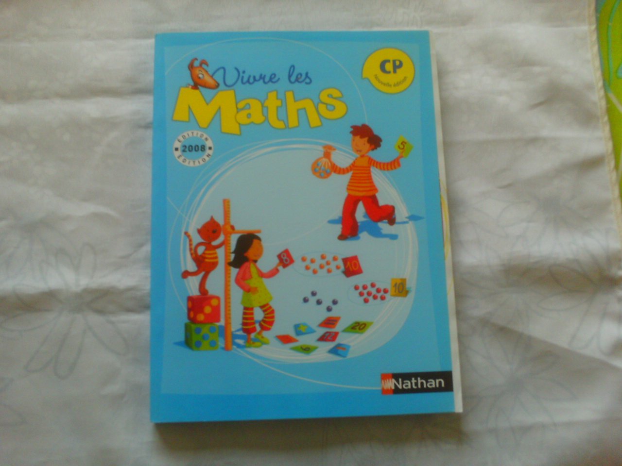VIVRE LES MATHS CP FICHIER CON 9782091219745