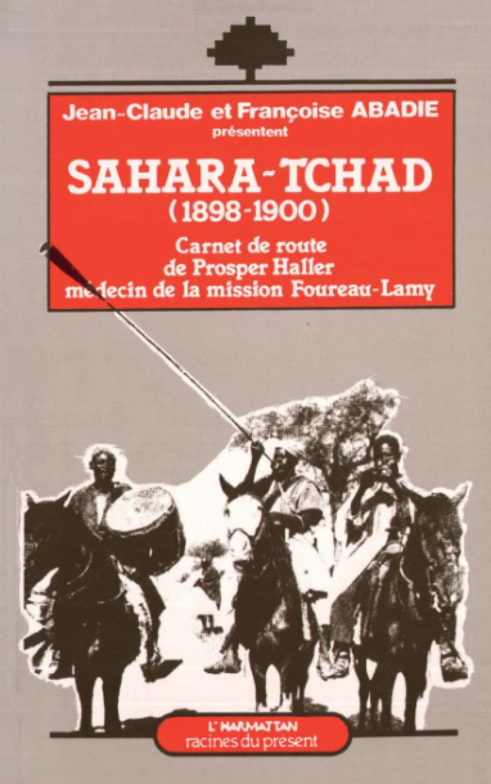 Sahara-Tchad 1898-1900: Carnet de route de Prosper Haller, médecin de la mission Foureau-Lamy 9782738402868