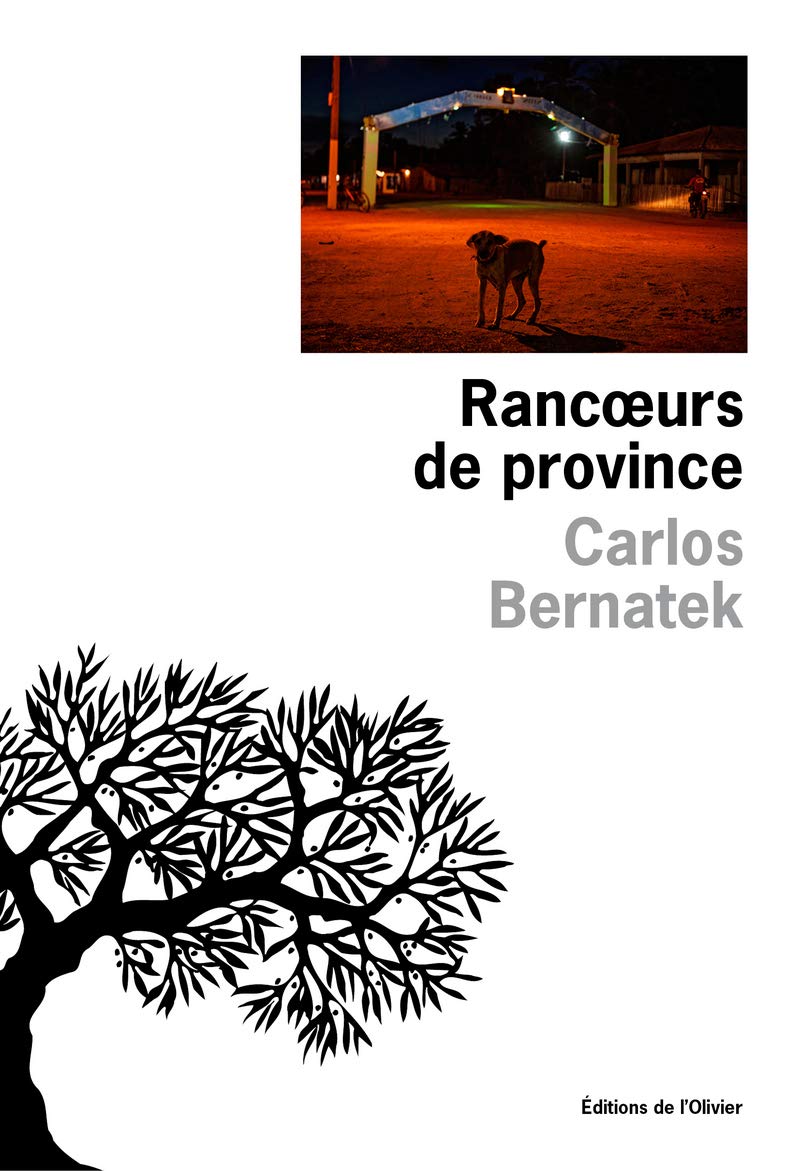 Rancœurs de province 9782823605808