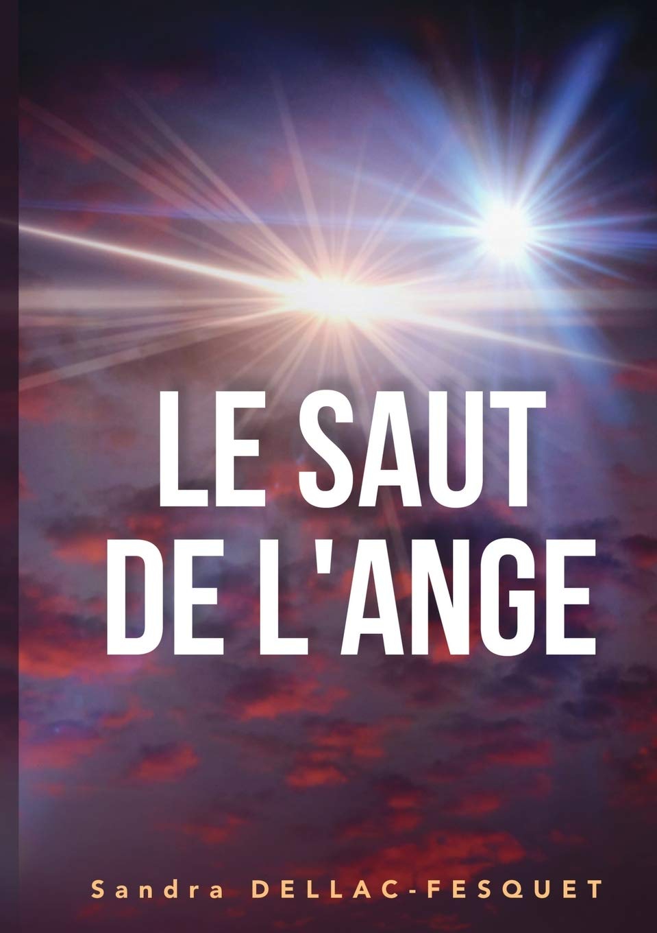 Le Saut de l'Ange 9782322031498