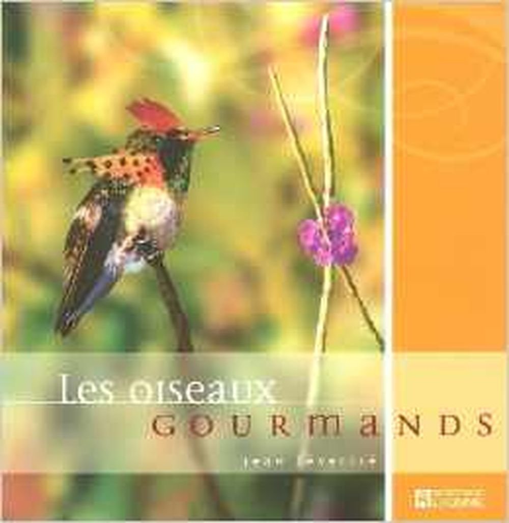 Les oiseaux gourmands 9782761920810