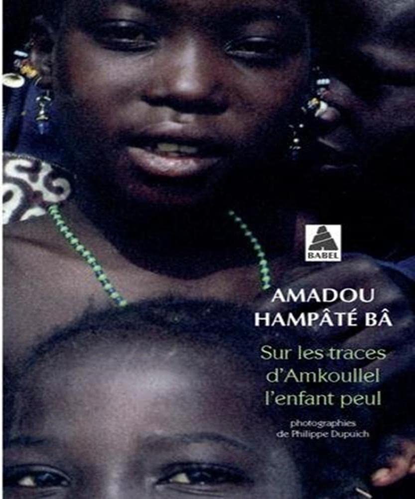 Sur les traces d'Amkoullel, l'enfant Peul 9782742731039