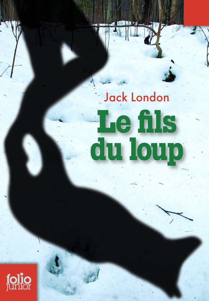 Le fils du loup 9782070631810