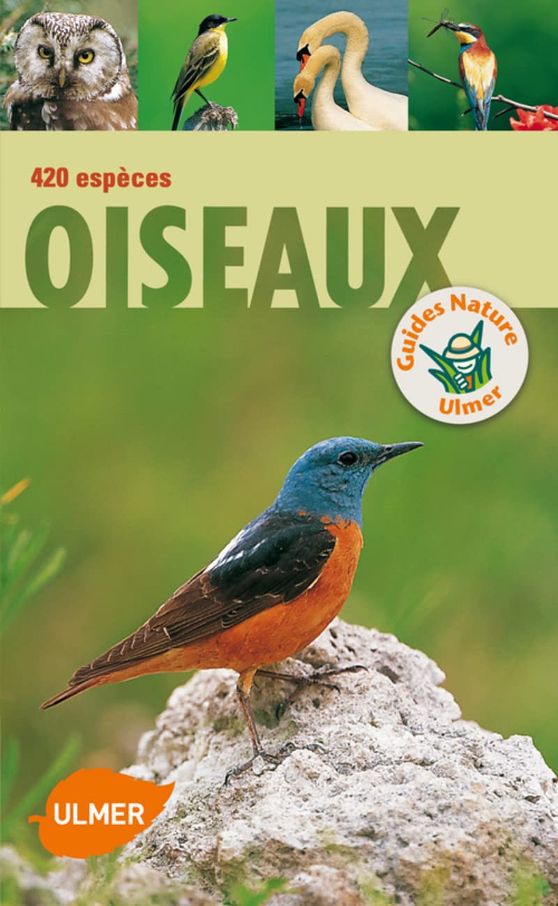 Oiseaux. 420 espèces 9782841385102