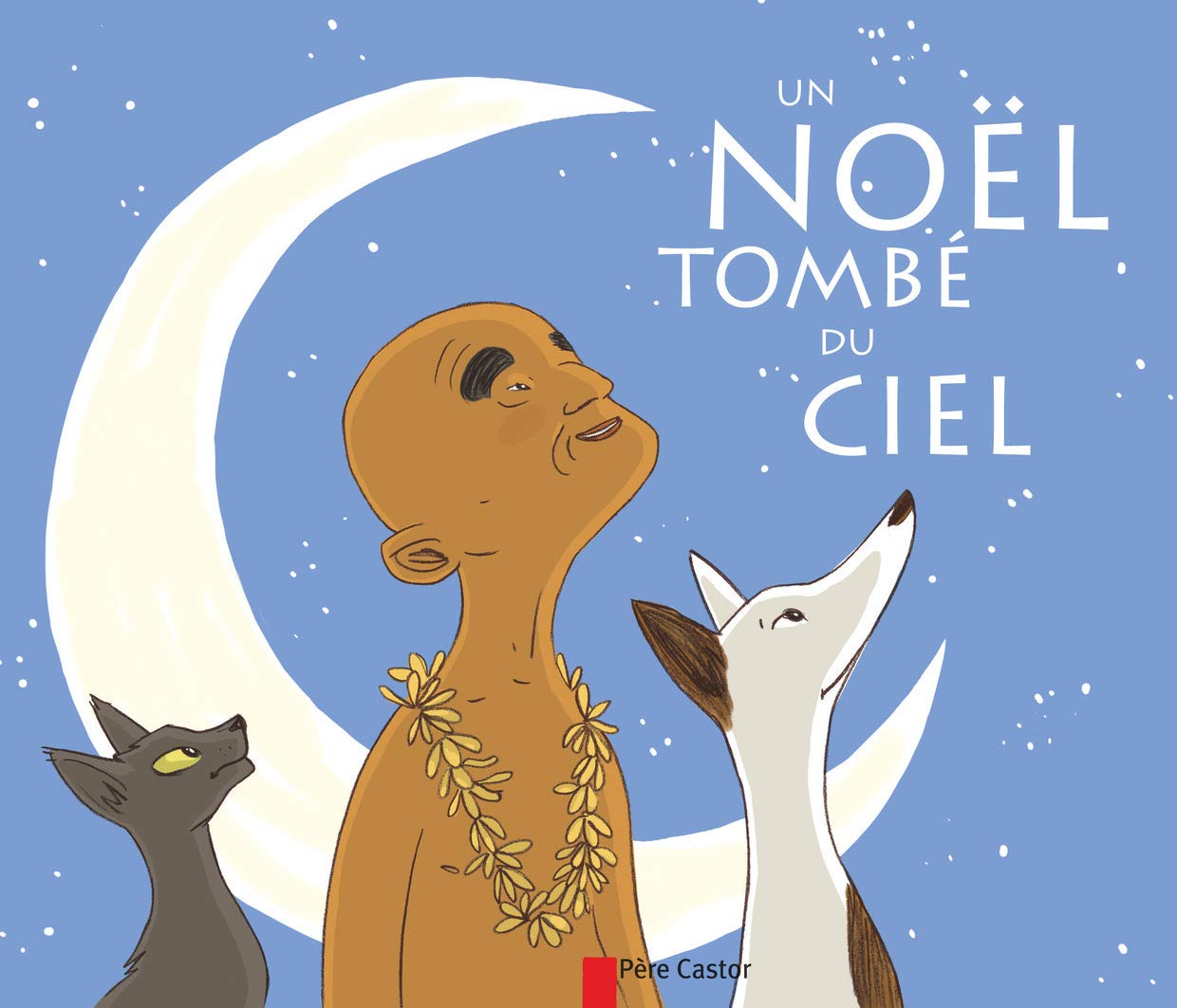 Un Noël tombé du ciel 9782081203396