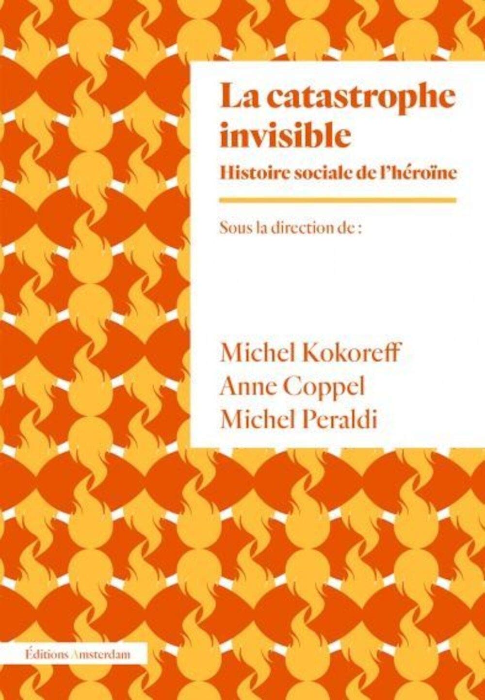 La catastrophe invisible: Histoire sociale de l héroïne (France, années 1950-2000) 9782354801687