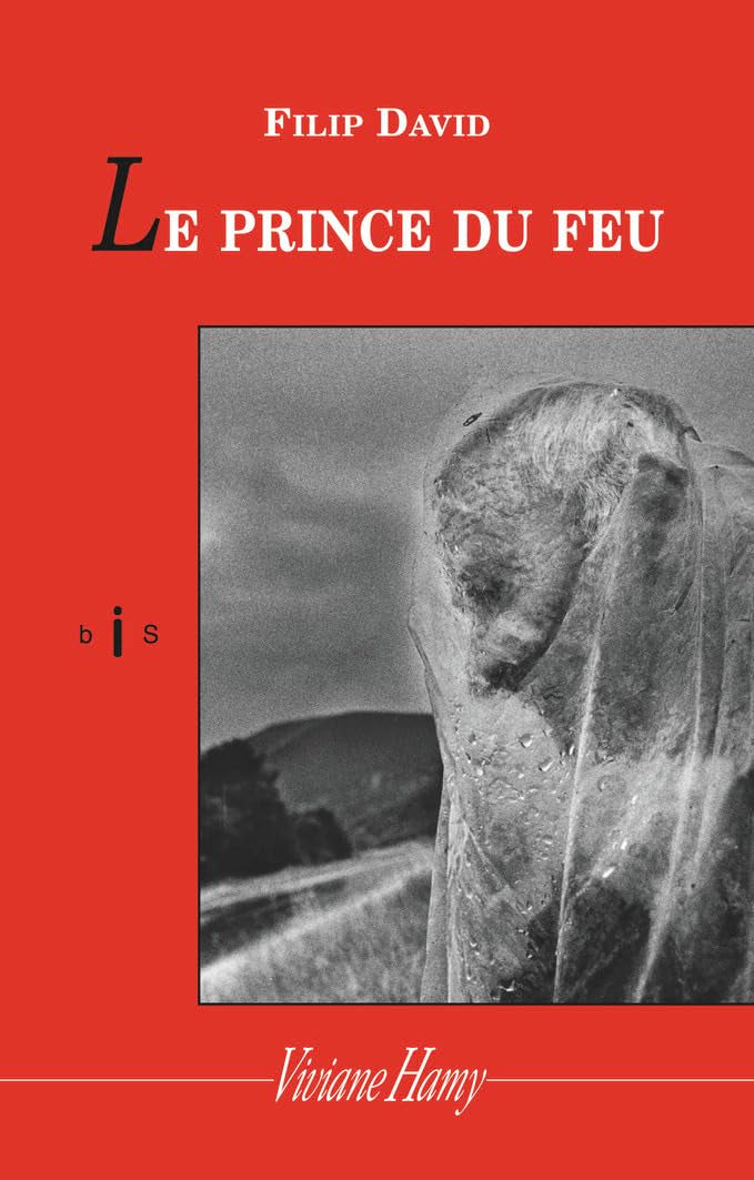 Le Prince du feu 9782878580051