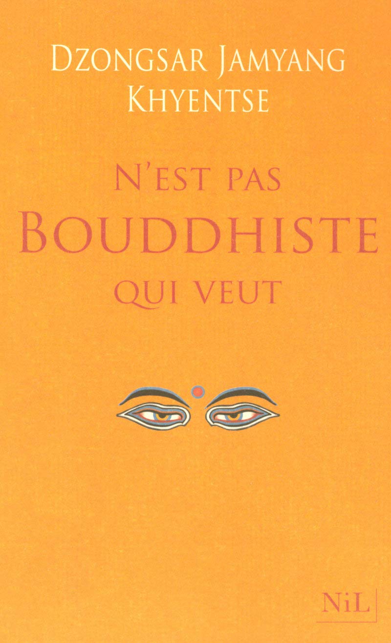 N'est pas bouddhiste qui veut 9782841113705