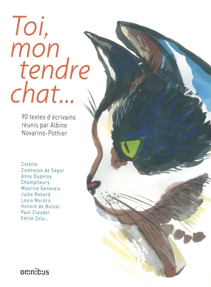 Toi, mon tendre chat 9782258106451