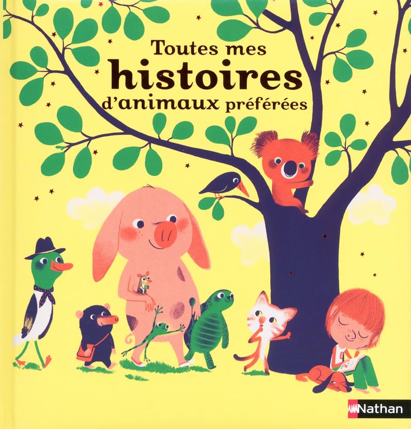 TOUTES MES HISTOIRES D'ANIMAUX 9782092535196