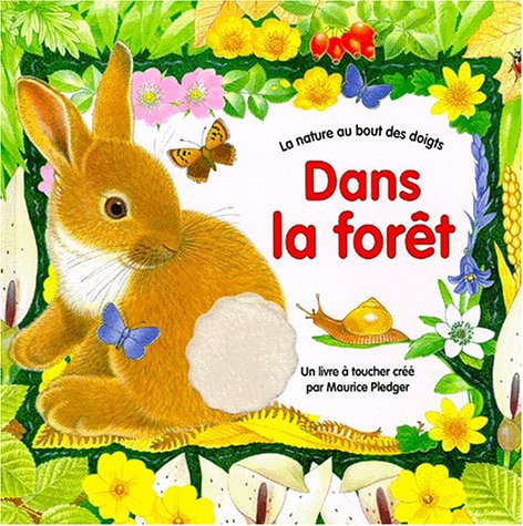 Dans la forêt 9782841960668