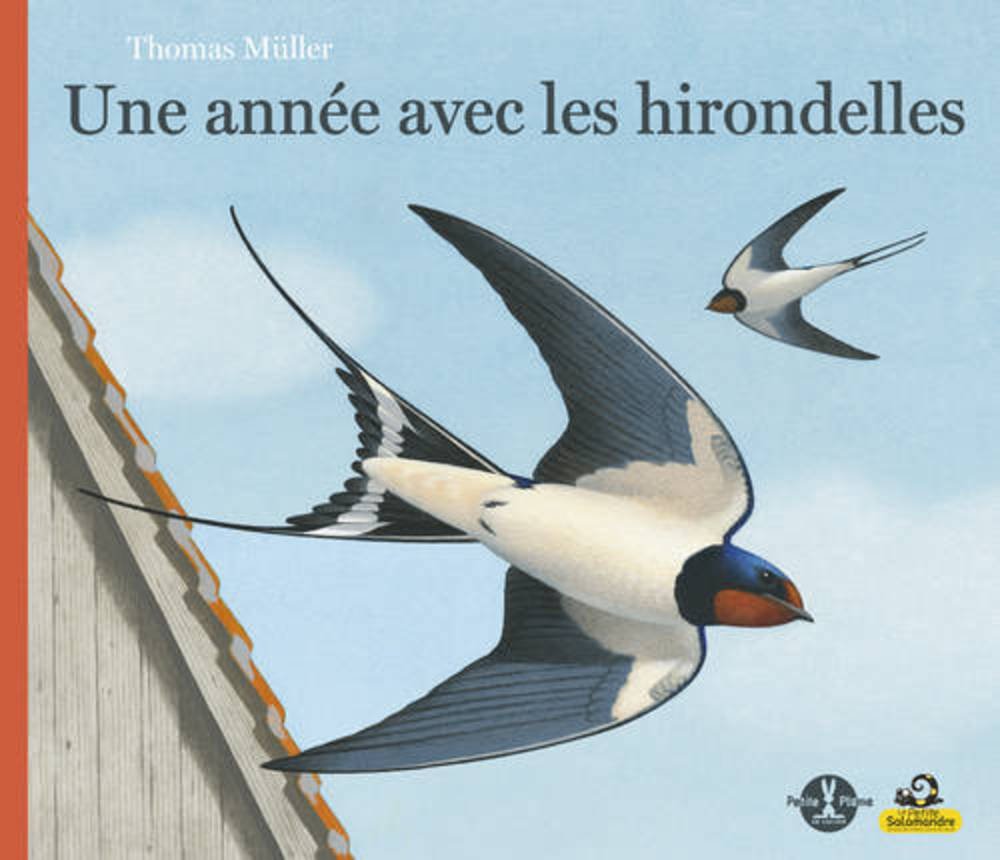 Une année avec les hirondelles 9782361540524