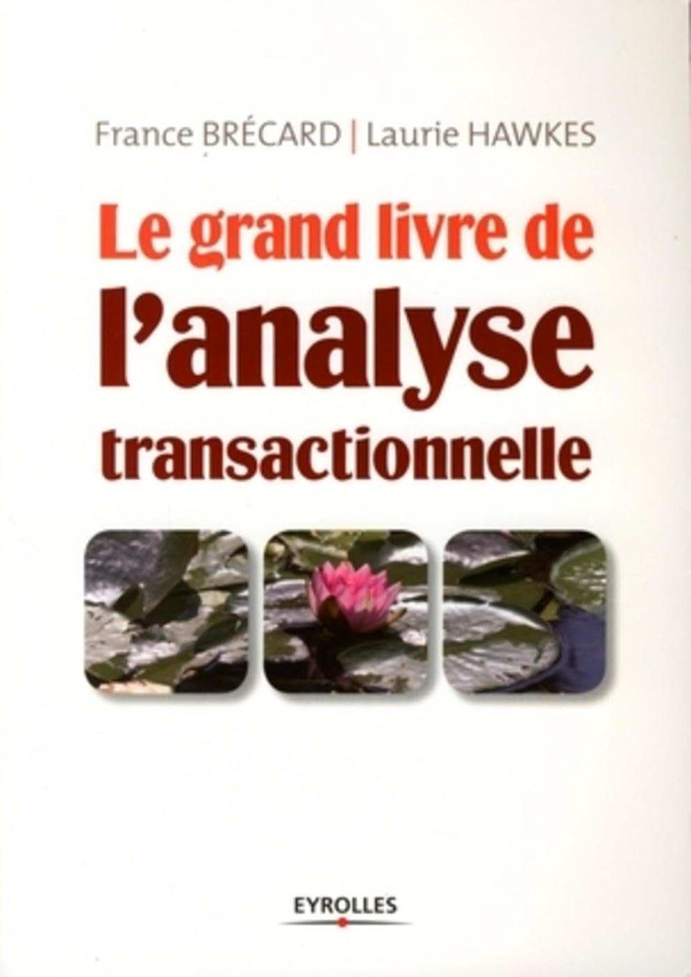 Le grand livre de l'analyse transactionelle 9782212541687