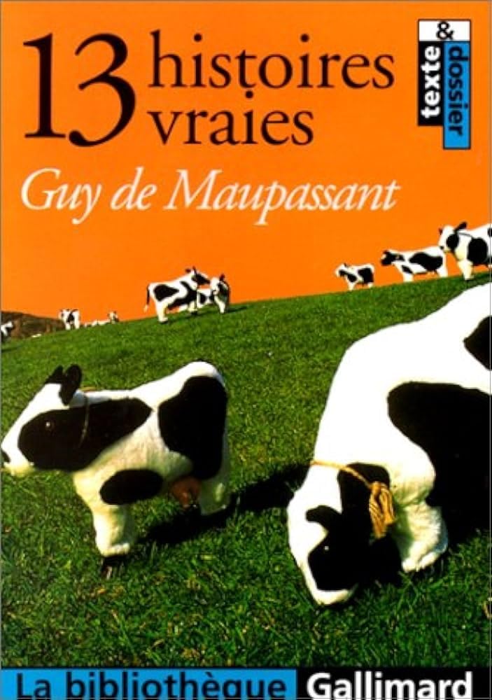 13 histoires vraies : texte et dossier 9782070409976