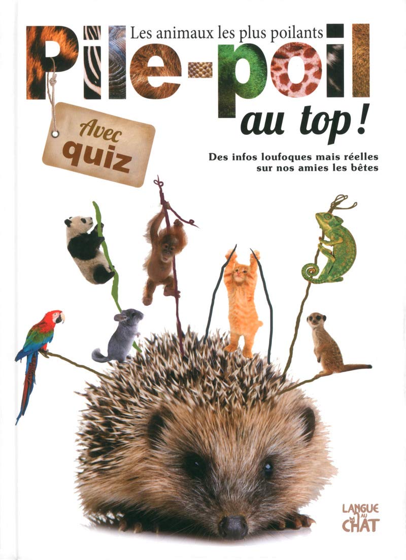 Pile-Poil au top ! 9782806305671