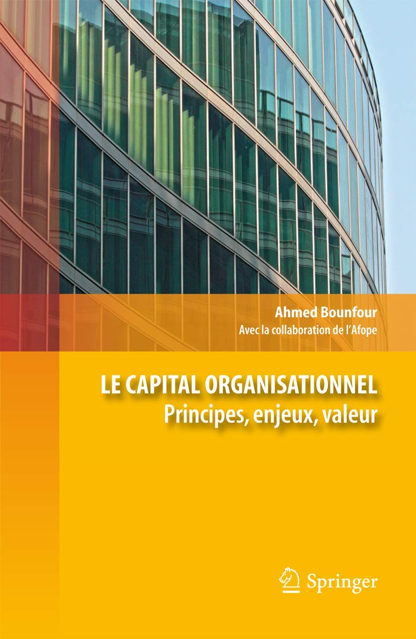 Le capital organisationnel: Principes, enjeux, valeur. 9782817802404