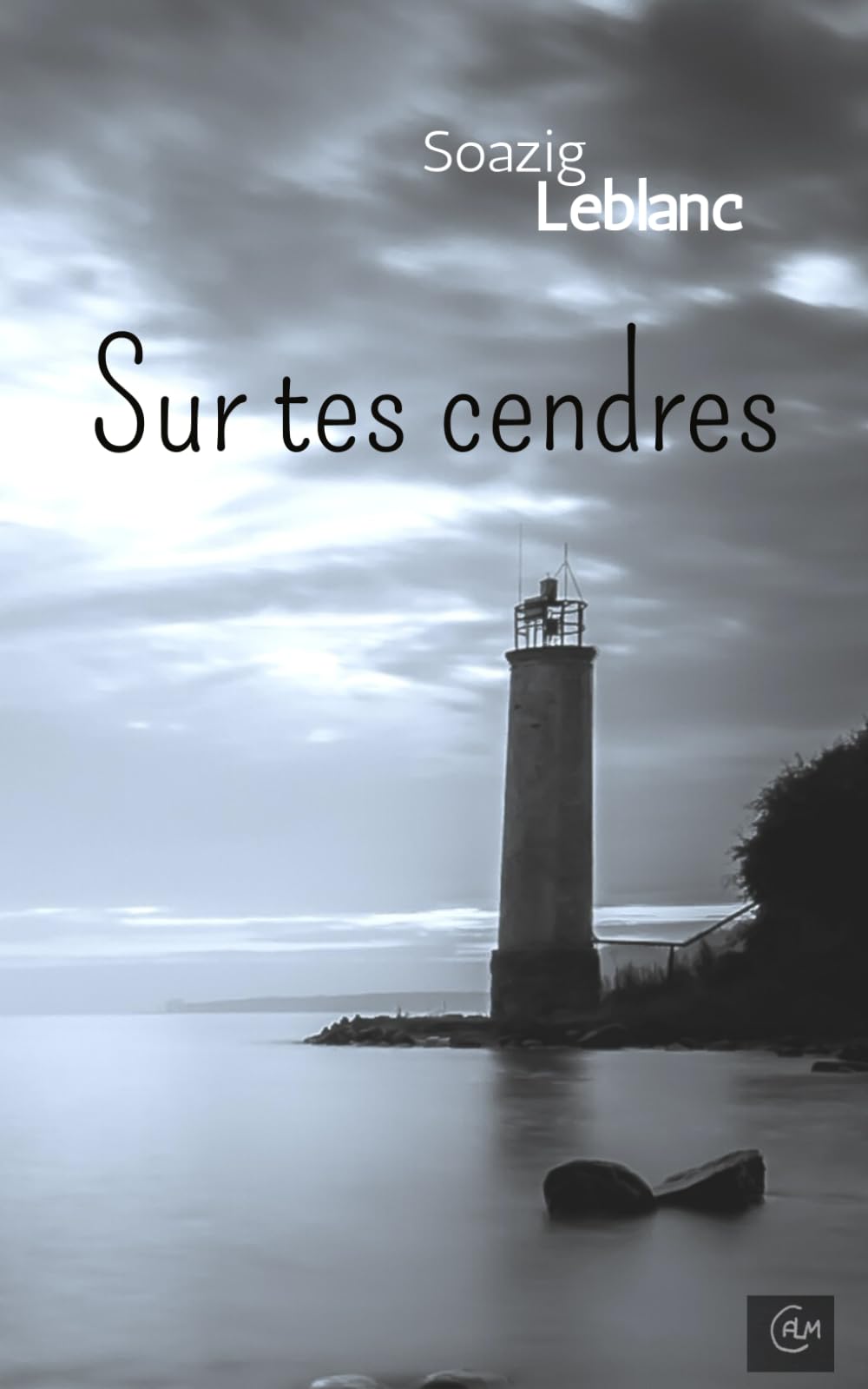 Sur tes cendres 9798651053605