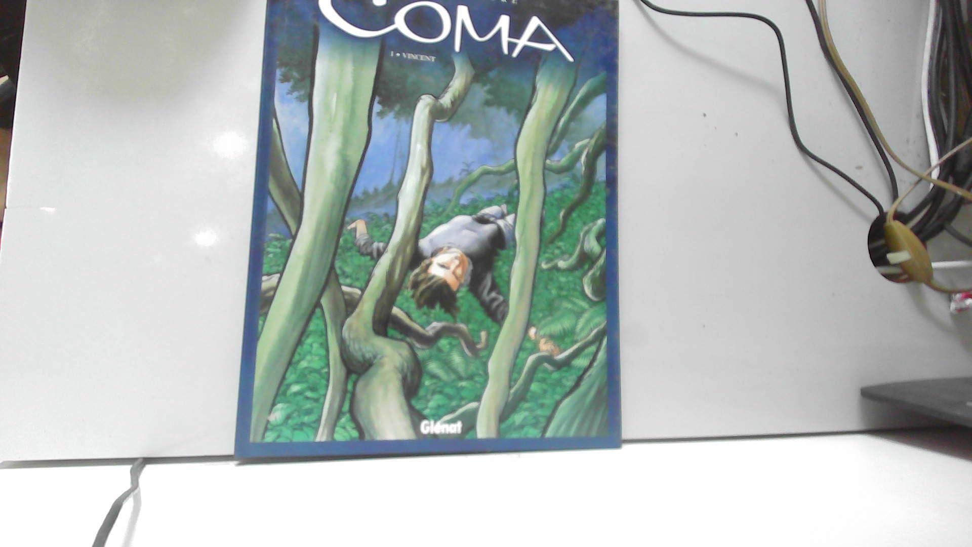 Coma, tome 1 : Vincent 9782723439596