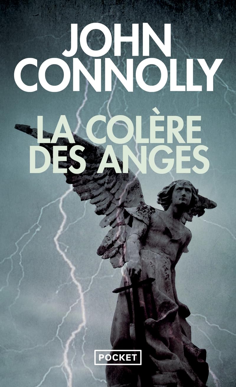 La Colère des anges 9782266244565