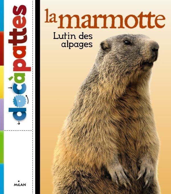 La marmotte 9782745954411
