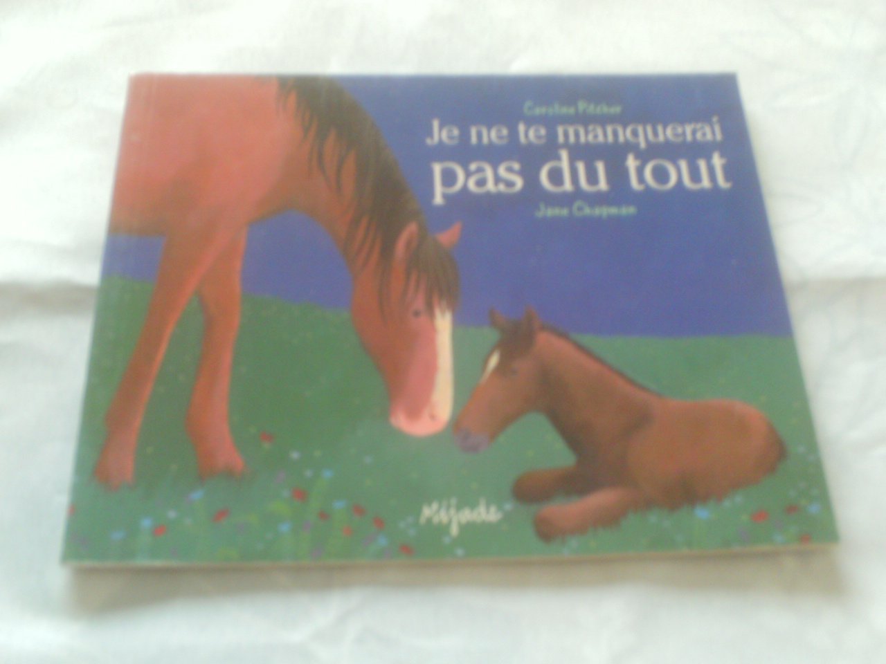 Je ne te manquerai pas du tout 9782871422396