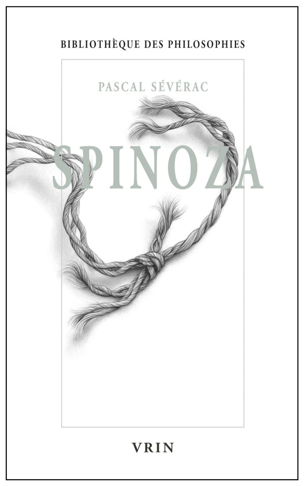 Spinoza : Union et désunion 9782711623440