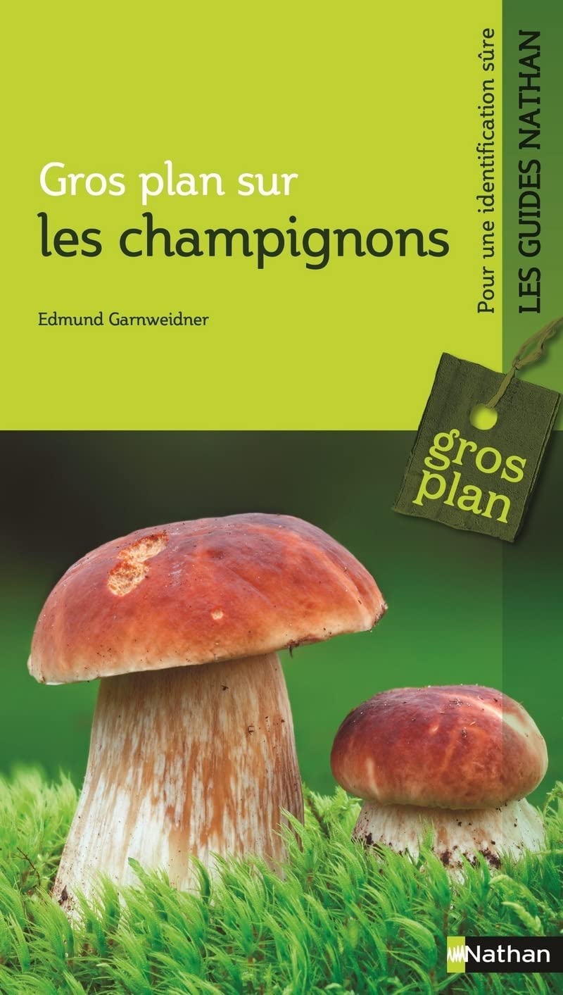 Gros plan sur les champignons : guide nature 9782092788097