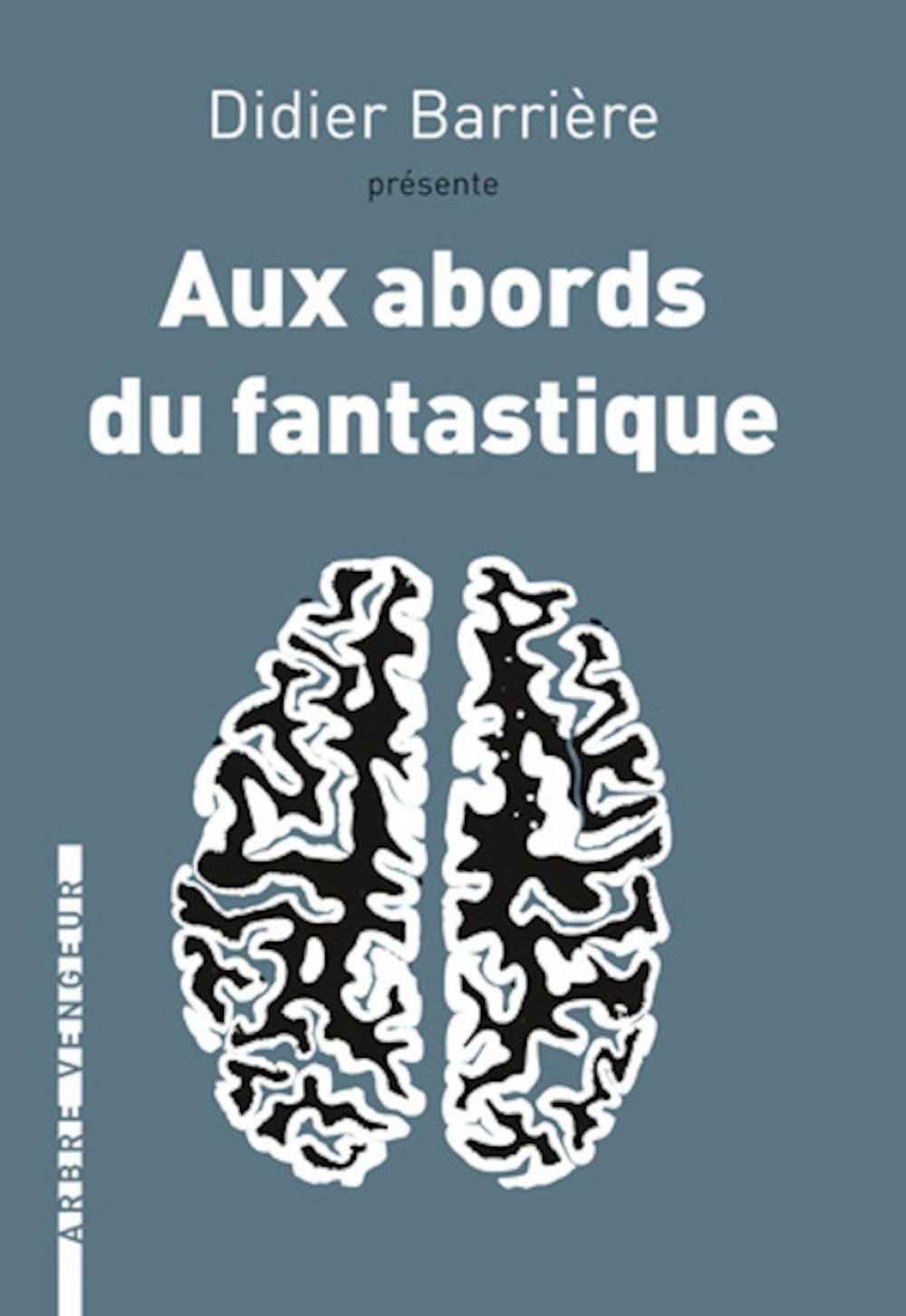 Aux abords du fantastique: Trois espèces de récits 9782916141985