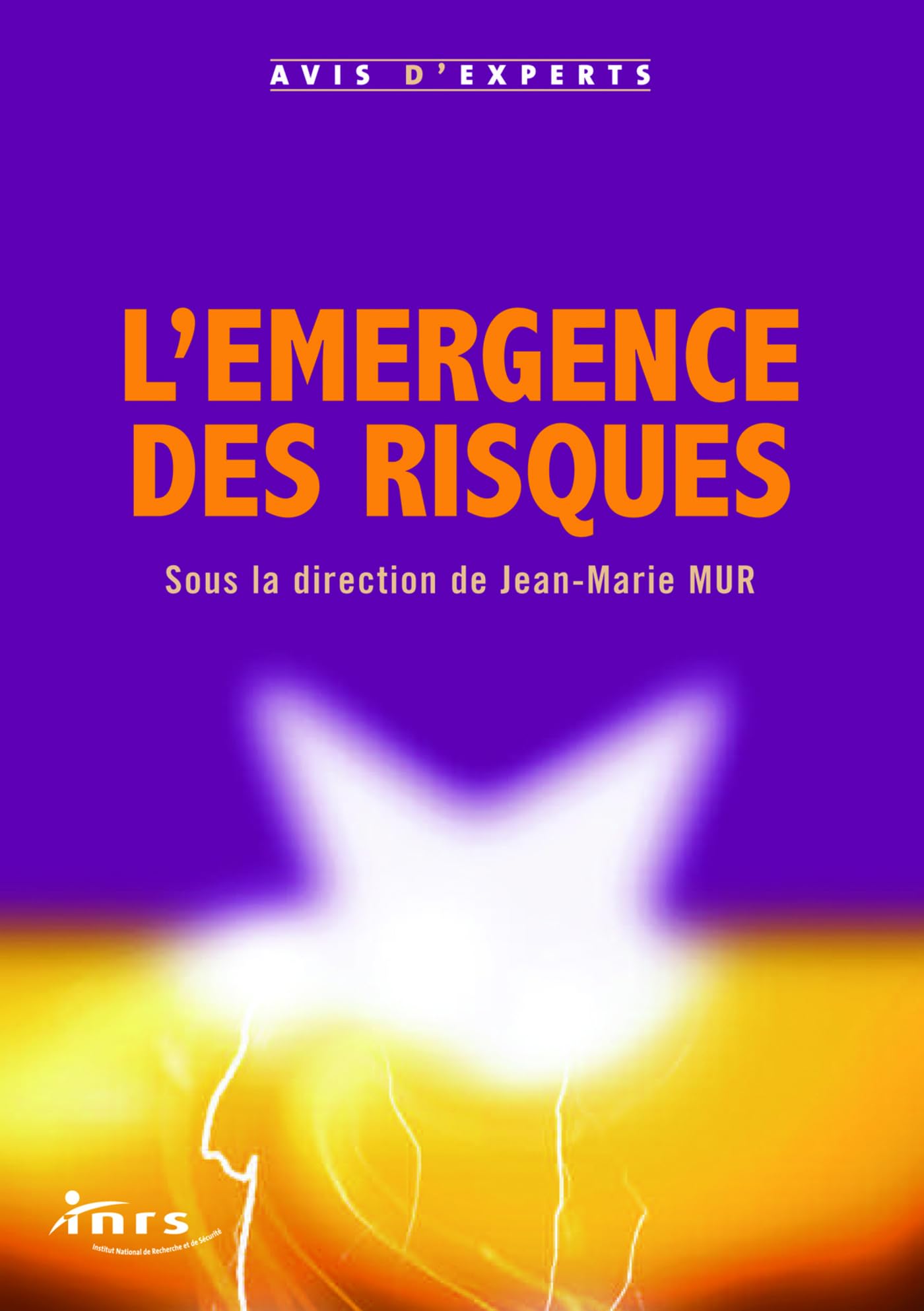 L'émergence des risques 9782759800735