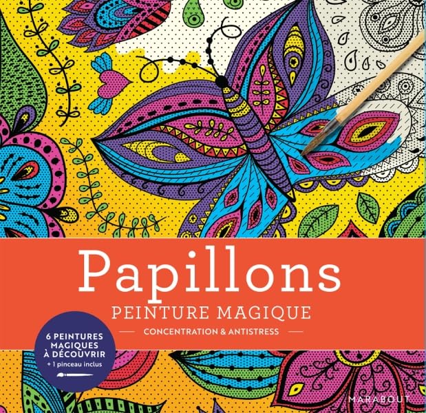 Peinture magique Papillons 9782501166379