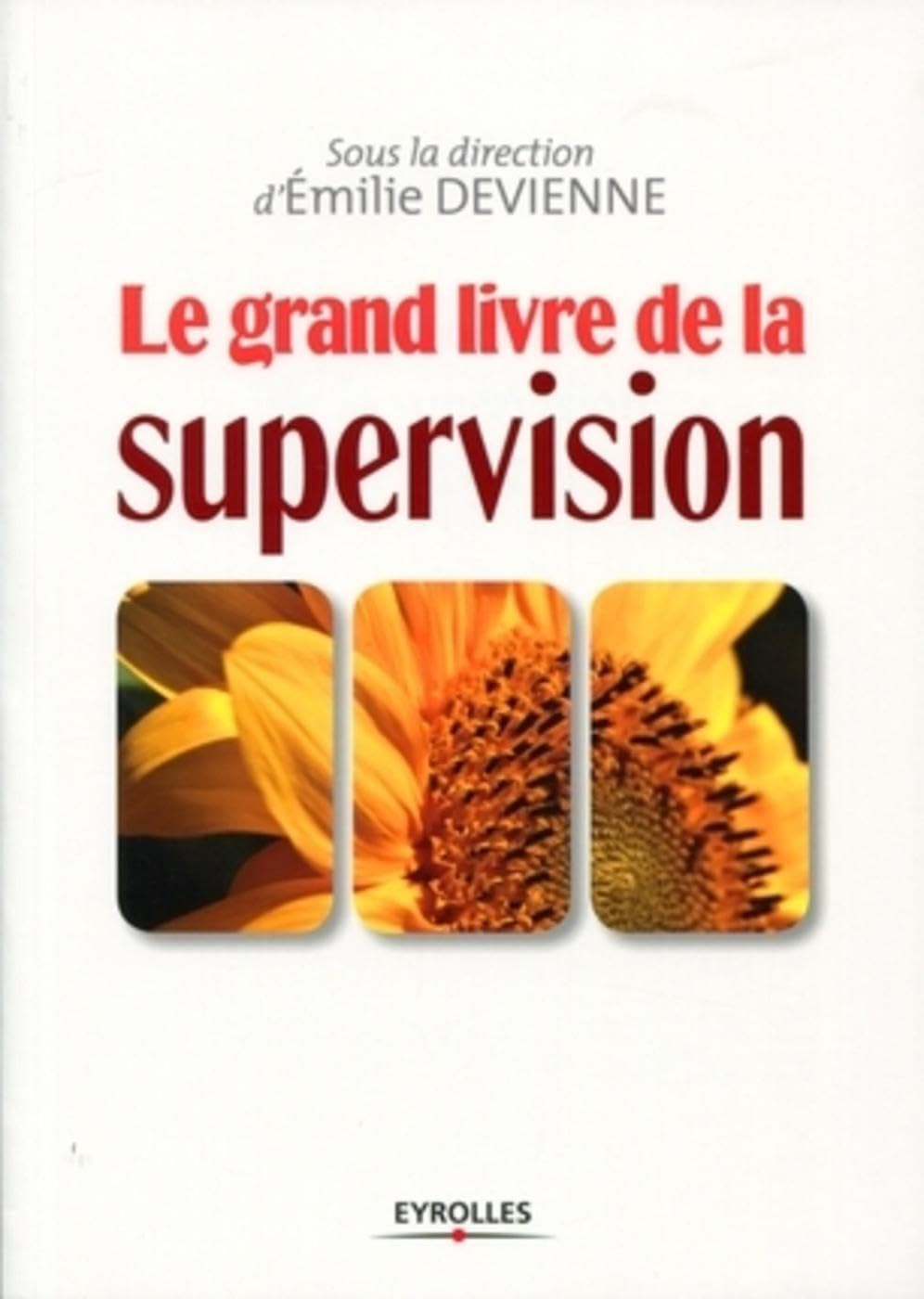 Le grand livre de la supervision 9782212546095