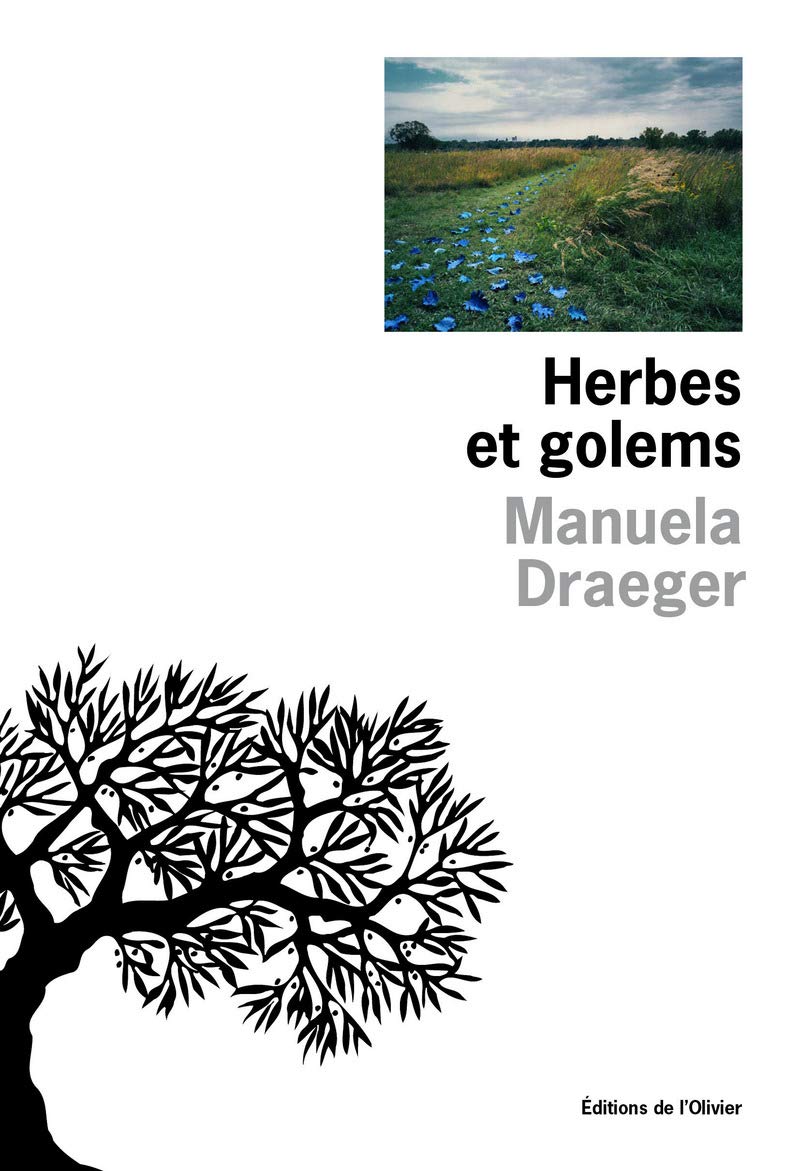 Herbes et golems 9782879298283