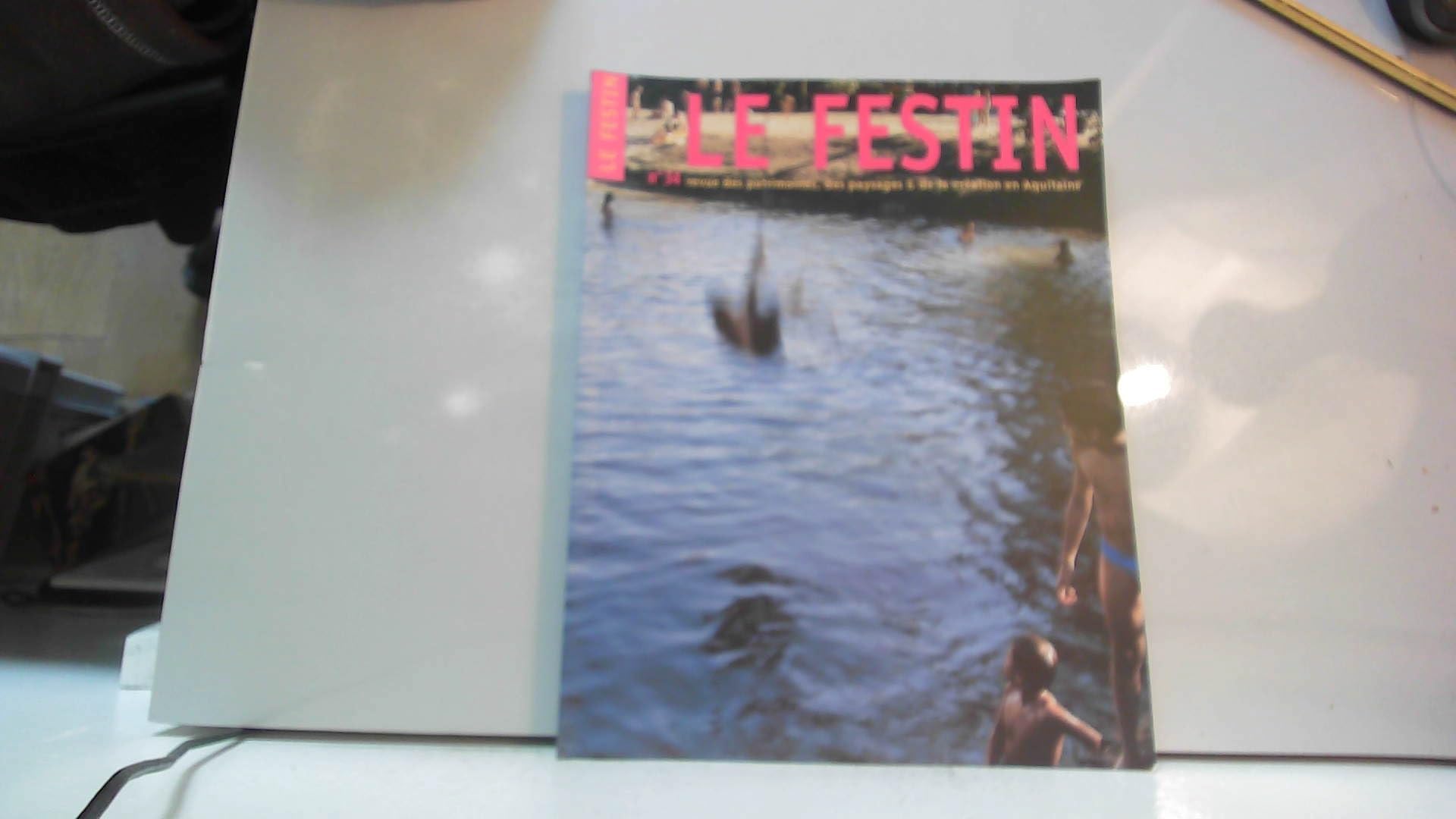 Le Festin, N° 34 Eté 2000 : 9782909423692