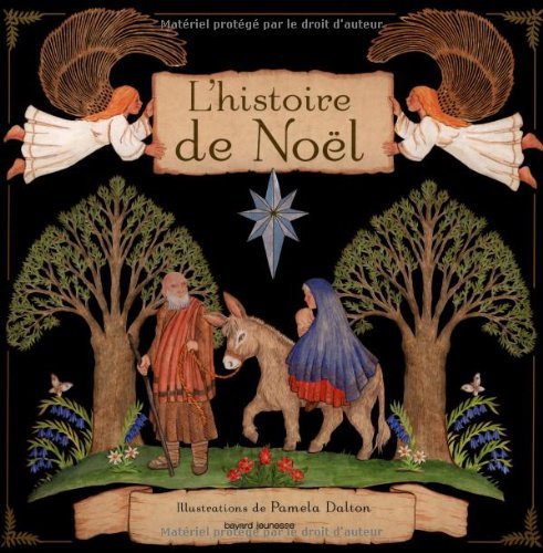 L'histoire de Noël 9782747050142